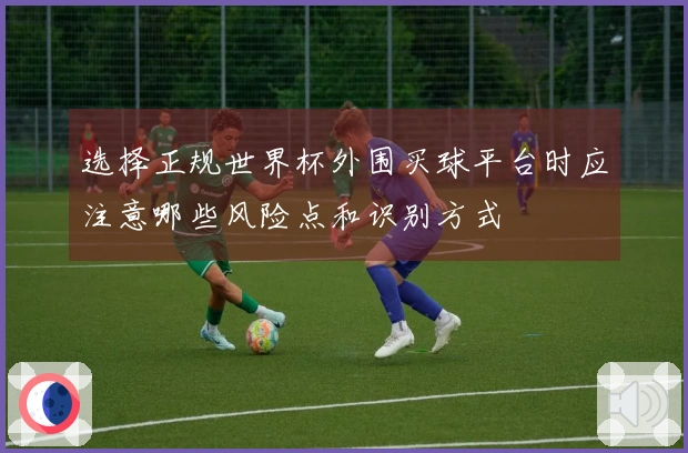 选择正规世界杯外围买球平台时应注意哪些风险点和识别方式
