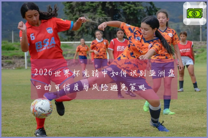 2026世界杯竞猜中如何识别亚洲盘口的可信度与风险避免策略