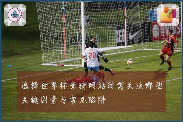 选择世界杯竞猜网站时需关注哪些关键因素与常见陷阱