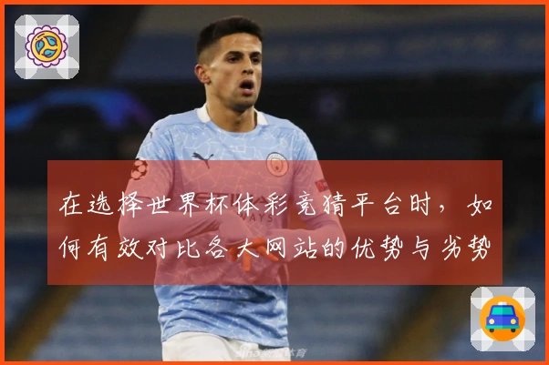 在选择世界杯体彩竞猜平台时，如何有效对比各大网站的优势与劣势？