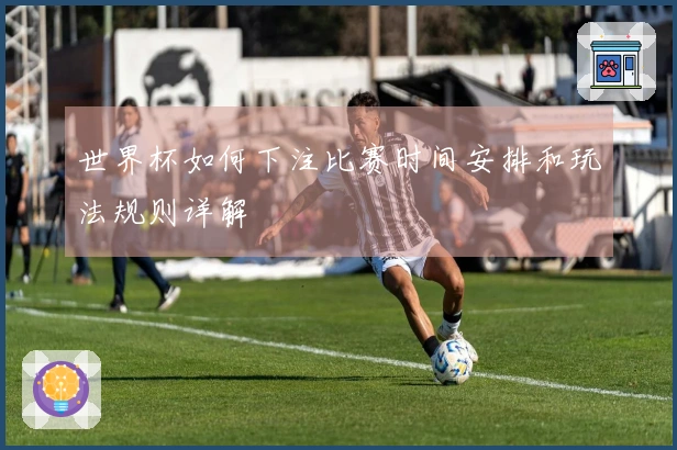 世界杯如何下注比赛时间安排和玩法规则详解